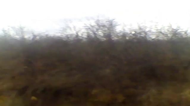 ЗАКРЫТИЕ ОХОТЫ на хищника с гончими!!! смотреть онлайн