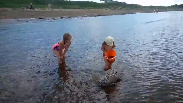 Хуторні на Murray beach, або Як упісявся гігантський равлик (дивіться до кінця!) смотреть онлайн