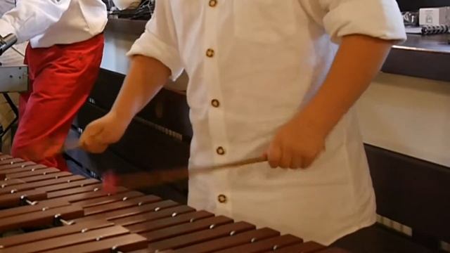 Sabre Dance (A. Khachaturian) - Taniec z szablami - Saebeltanz - Servoos Family смотреть онлайн