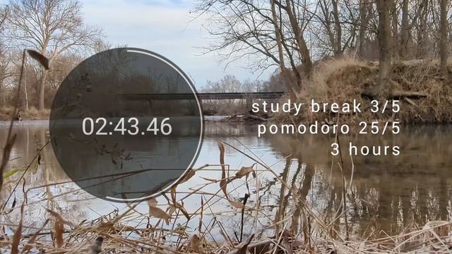 3 HOUR STUDY WITH ME | chill lofi playlist | pomodoro 25/5 смотреть онлайн