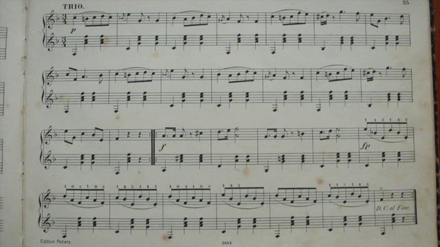 Zitherschule, Alpengruss, for recorder and guitar смотреть онлайн