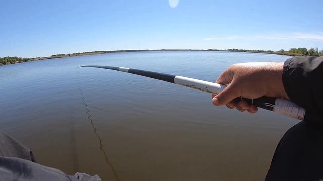 Крупный карась на поплавочную удочку . Отличный клев ! смотреть онлайн