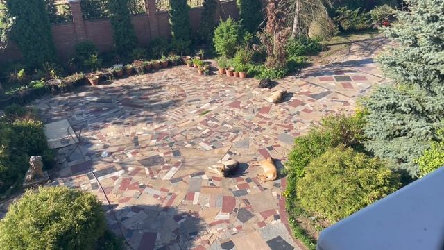 Дремота и Зевота. смотреть онлайн