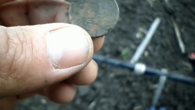 По Чумацкому шляху и древним водопоям с металлоискателем смотреть онлайн