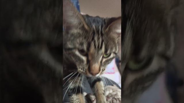 хочет стать лучше