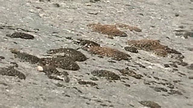 медитация под звук горной реки в центре большого города смотреть онлайн