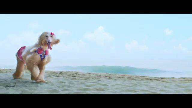 Собачий побег - Русский трейлер (2024) смотреть онлайн