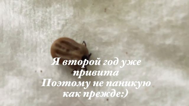 Вся Германия бастует//ОСТОРОЖНО КЛЕЩИ//Готовлюсь к экзамену на немецкие водительские права смотреть онлайн