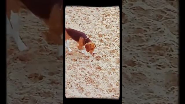 Хорошо быть маленьким смотреть онлайн