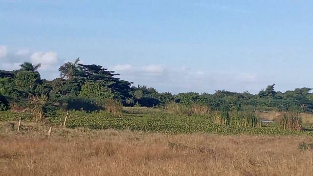 potrero de Cuba Santa clara Carretera de sagua смотреть онлайн