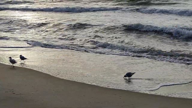 Coldplay  The Hardest Part  VIDEO