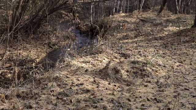 Прогулка по верхней Берёзовке (окрестности Улан-Удэ) 24 октября 2021 года смотреть онлайн