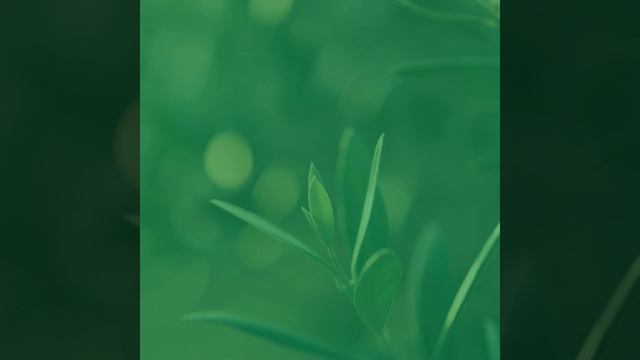 Чувство (Расслабление)