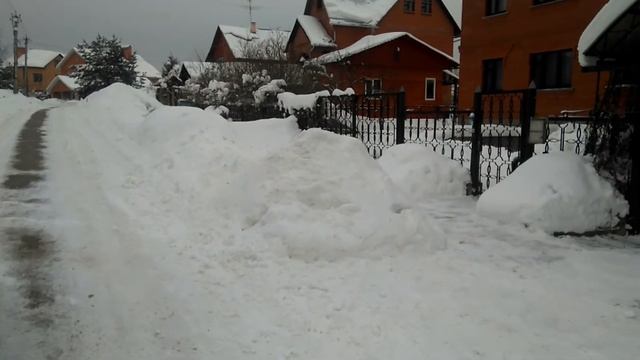 Дрессировка собак. Цена доверия. смотреть онлайн