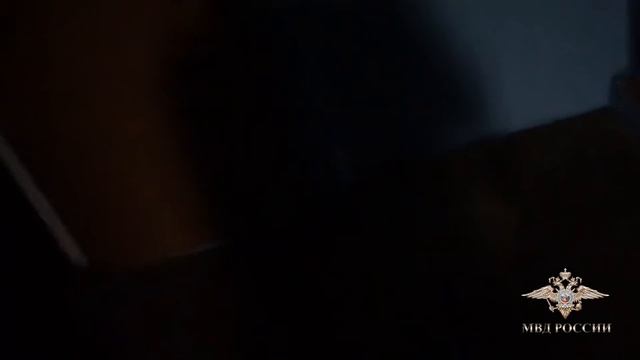 Производство контрафактных запчастей для отечественных автомобилей пресекли в пригороде Самары смотреть онлайн