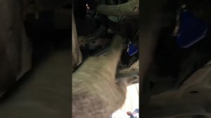 Замена масла в коробке Акпп тойота камри 40 2,4