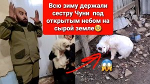 ЦЕНА ЖИЗНИ В 5 ТЫСЯЧ РУБЛЕЙ.