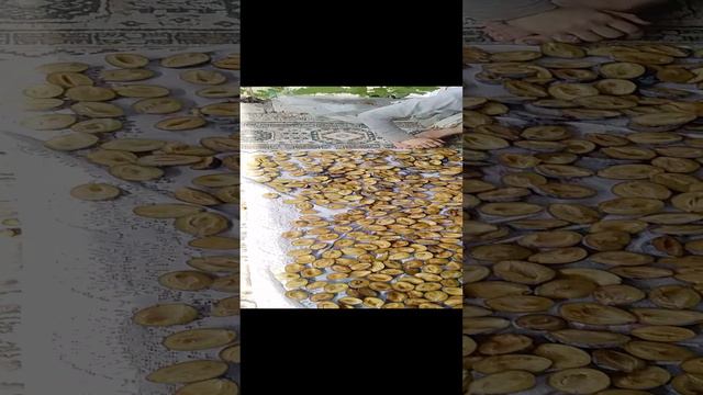 29.08.2024 сушка чернослива Стенлей.mp4