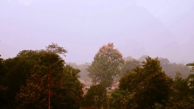 Rainy Night_ Soothing Sleep Music