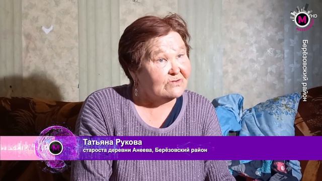 Мегаполис - Телёнка назвали в честь провайдера - Берёзовский район смотреть онлайн