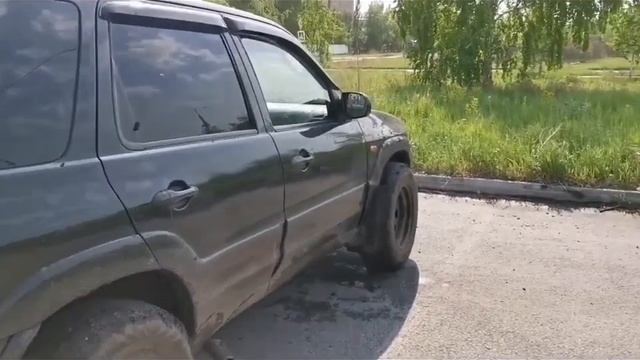 Dl Audio Gryphon Pro 15