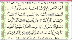 Шейх Айман Сувейд Сура Бакара стр 32