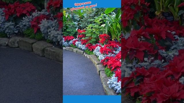 Оформление цветников на даче! смотреть онлайн