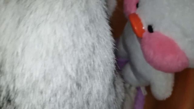 #lalafanfan распаковка посылки для утки #лалафанфан уточка купается с ванне Корабль Duck unboxing смотреть онлайн