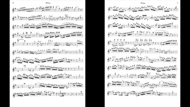Mozart Flute Concerto in G K.313 I. Allegro maestoso (Piano Accompaniment) смотреть онлайн