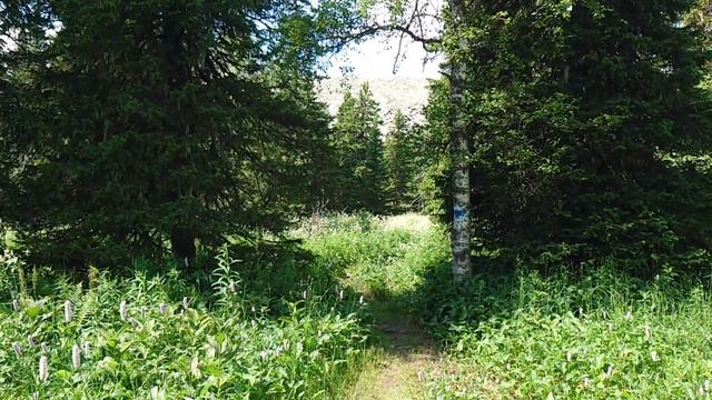 Гора Поперечная. Уральский Барс. Первый этап. смотреть онлайн