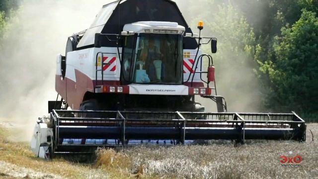 Уборка урожая в Ивнянском районе Белгородской области 2019г. Россия. смотреть онлайн