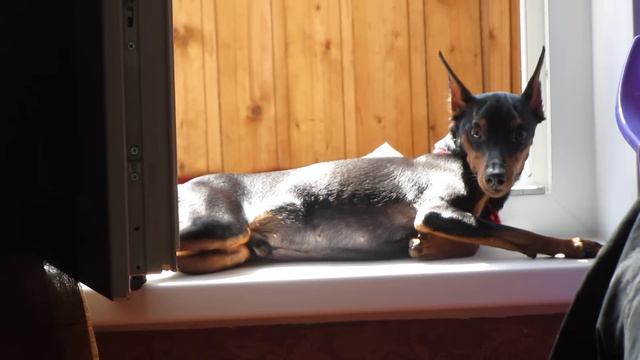 Грант Бритт Том Тамб/Басс смотреть онлайн