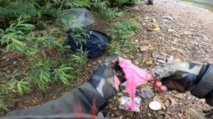 Ловля Симы на тампоны.