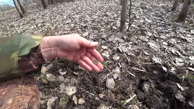 ПОИСК МОНЕТ И СТАРИННЫХ ВЕЩЕЙ!!!СЕРЕБРИШКО ЭТО ЗАЧЁТ!!МЕТАЛЛОИСКАТЕЛЬ ТЕРРА 705! смотреть онлайн