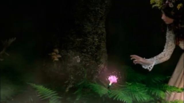 ЦВЕТОК ПАПОРОТНИКА смотреть онлайн