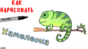 Как Легко Нарисовать Хамелеона