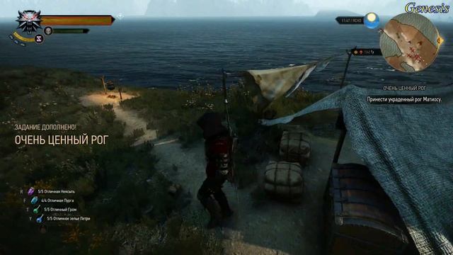 The Witcher 3 Wild Hunt Очень ценный рог смотреть онлайн