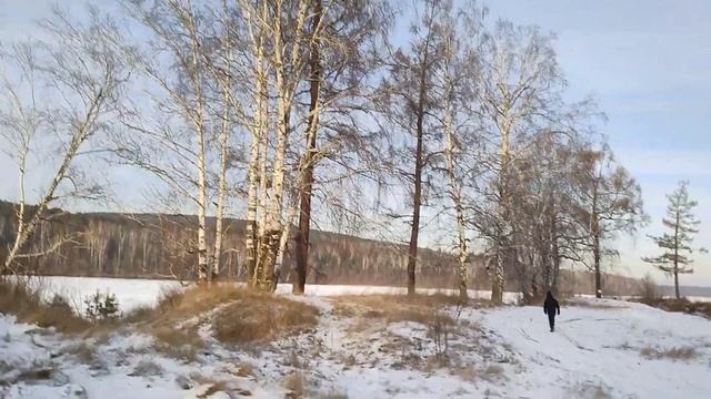 Воскресная прогулка.#люблюжизнь#природасибири#лесогорск#иркутскаяобласть#осень23 смотреть онлайн
