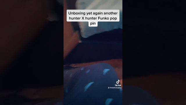 Unboxing Hunter X Hunter Funko Pop Pin смотреть онлайн