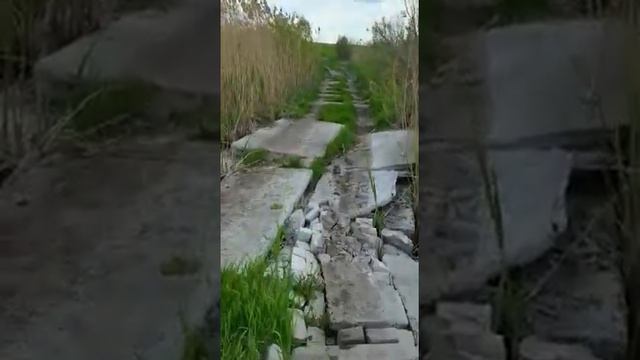 Рождественская Хава смотреть онлайн