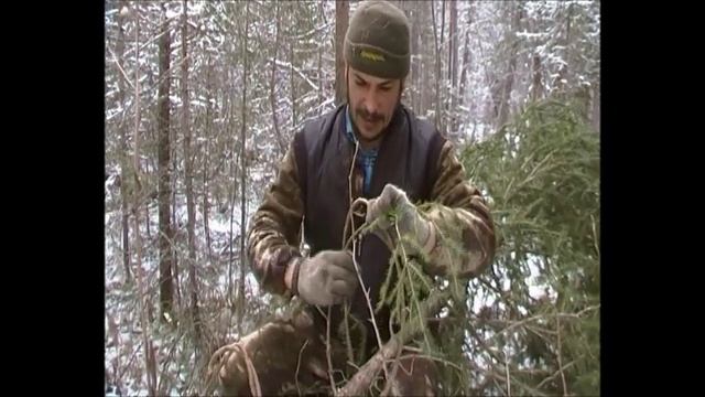 Петельки на рябчика, изготовление жердей. смотреть онлайн