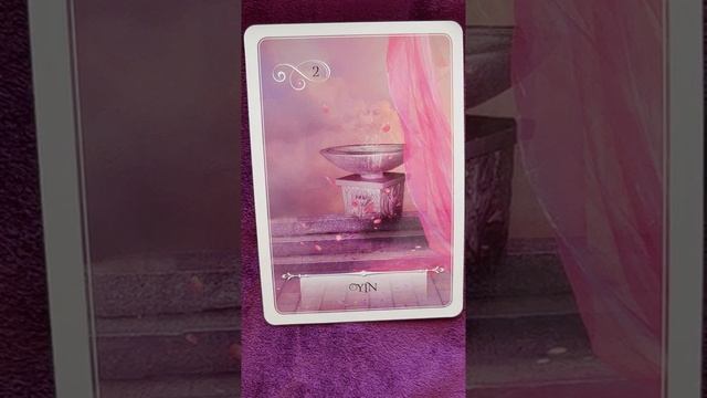 Y ? Wisdom of the Oracle Card Meanings смотреть онлайн
