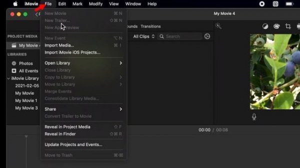 How to Convert MOV to MP4 on Mac (With iMovie) - Mac OS Big Sur | 2021