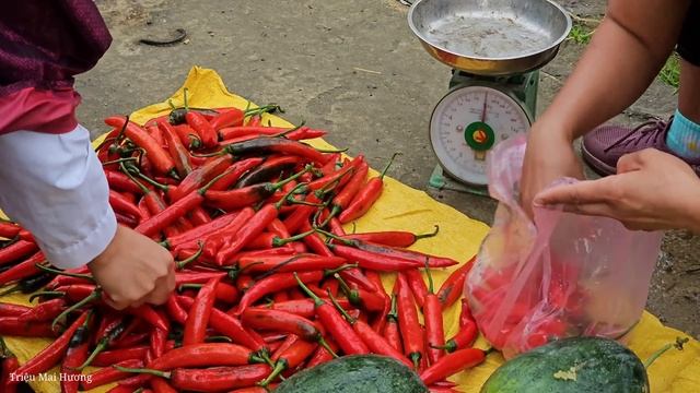 FULL VIDEO: 150 Days Harvest Fruit, Chili, Sapodilla, Peanut go market sell | Cooking, Gardening смотреть онлайн