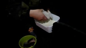 удачная рыбалка! чаны! чёрный колок!