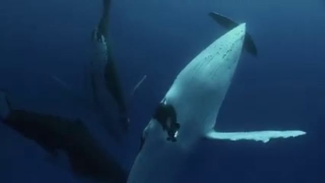 АВТОНОМКА смотреть онлайн