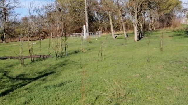 Прогулка по окрестностям. Кубань в ноябре смотреть онлайн