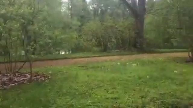 Пушкин. Екатерининский парк. Зал на Острову смотреть онлайн