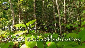 Красивая и расслабляющая музыка на фортепиано со звуками природы. Музыка для Медитации и Отдыха.