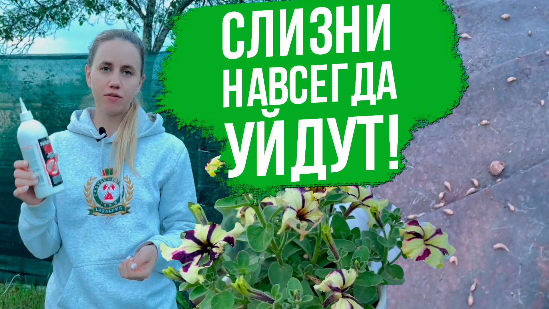Как избавиться от слизней на участке. 5 лучших способов борьбы со слизнями. смотреть онлайн